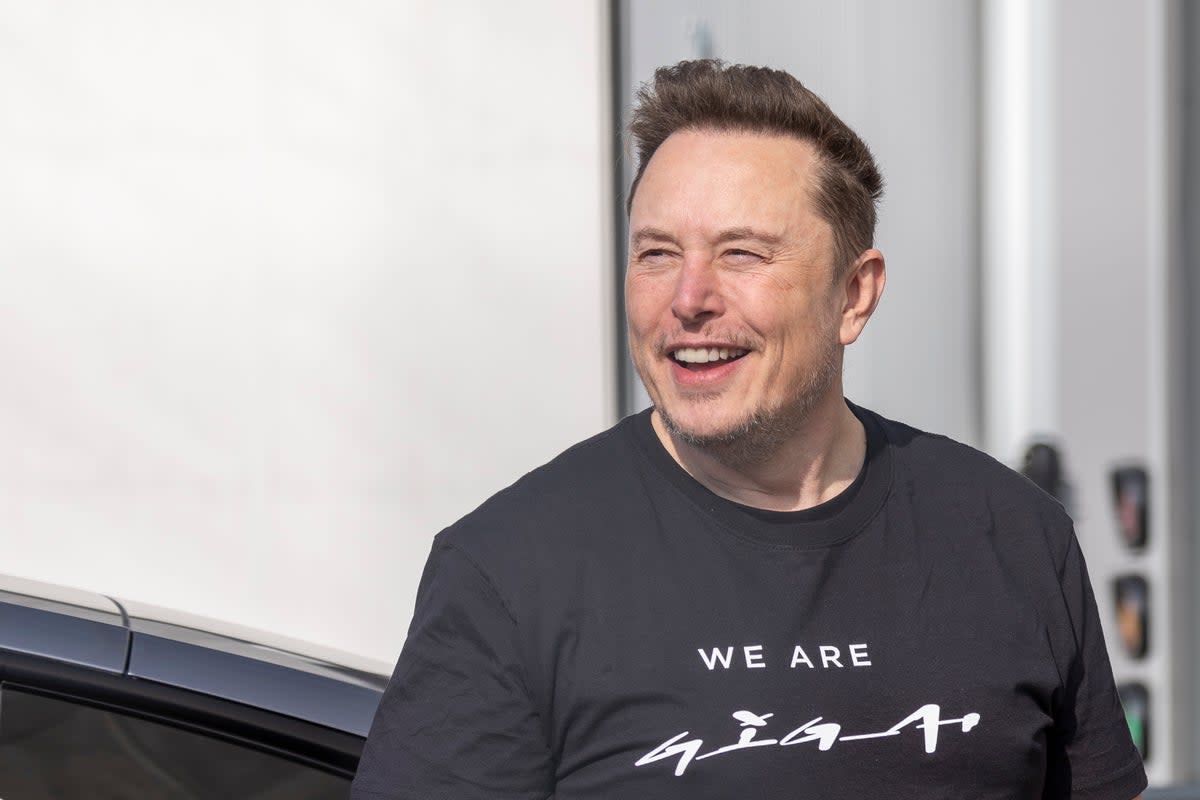 CEO of Tesla Elon Musk (file photo) (Getty Images)