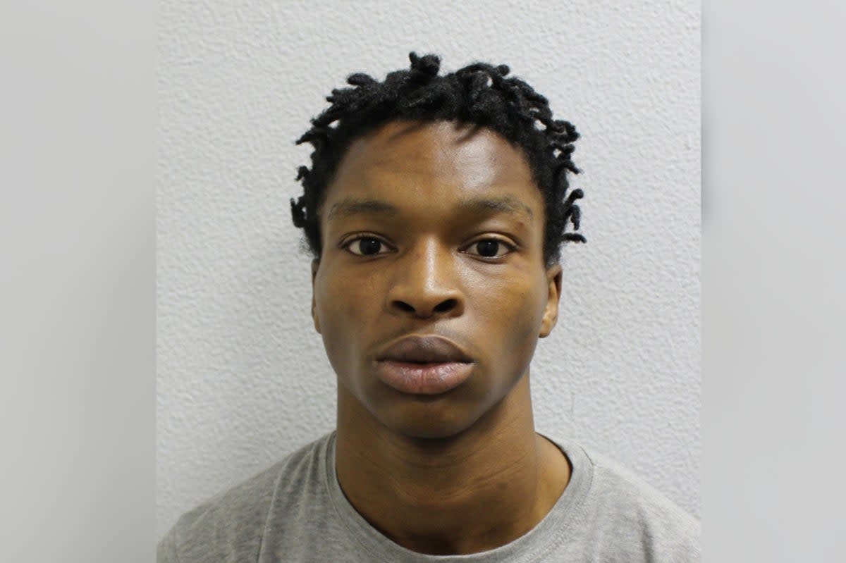 Sentenced: Damilola Fatuga  (British Transport Police)