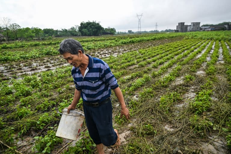 Just two hours from the economic powerhouse and megacity of Guangzhou, surrounded by lush subtropical vegetation, lies the village of Sancun, one of the worst-hit by the recent bad weather (Hector RETAMAL)