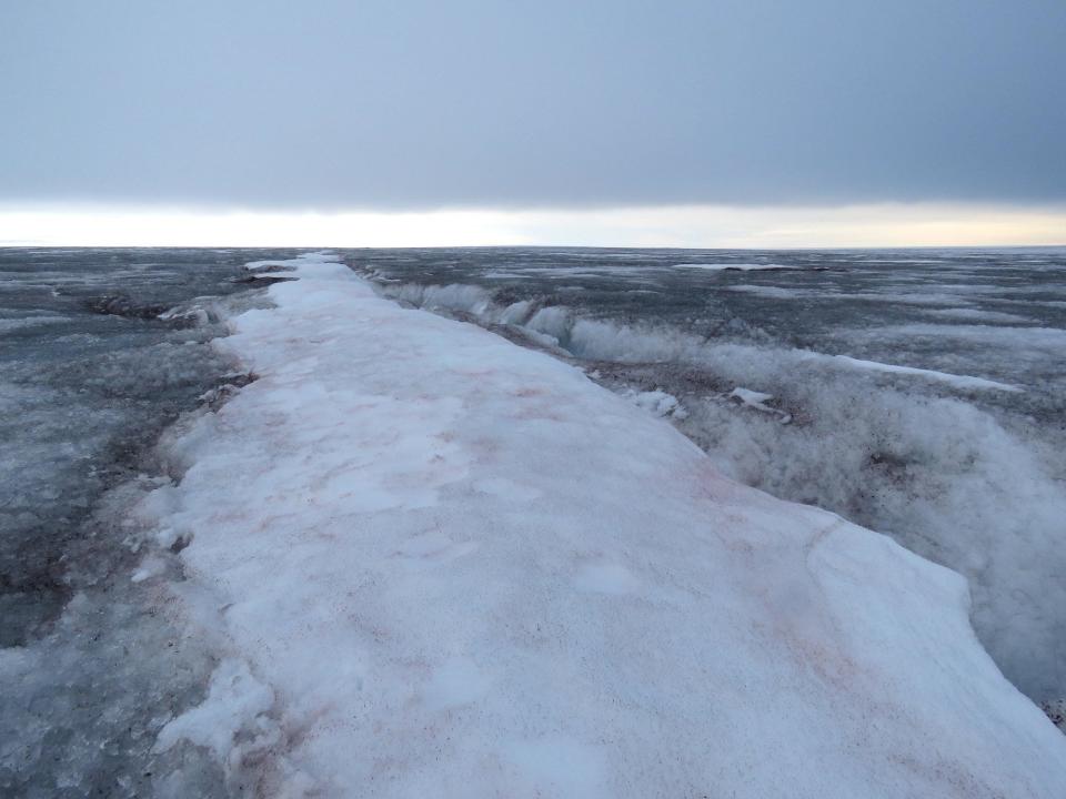 pink snow strip in the middle of black snow