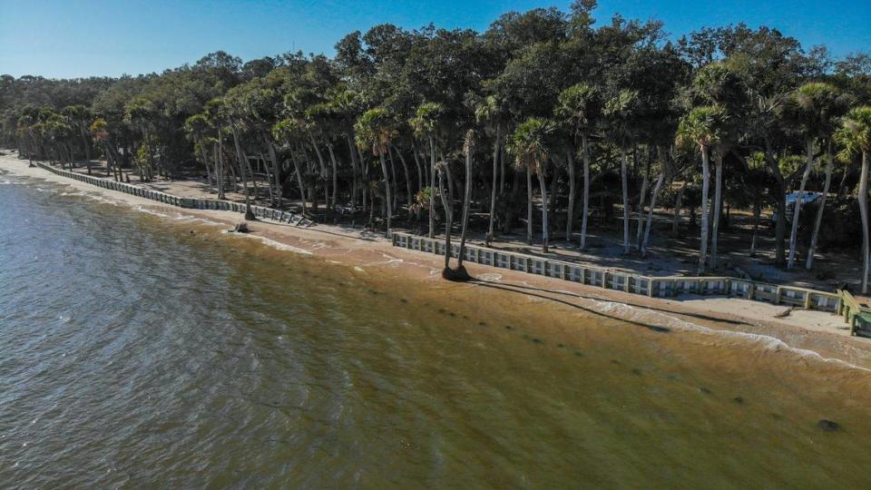 Seawalls erected by other Saltwind Drive estuarine land property owners near Jerry and Vivian Wayne as photographed on Jan. 30, 2024, were recently breached by strong winter storms that brought strong winds during high tides in Coffin Point on St. Helena Island. The Waynes have experienced substantial erosion of their St. Helena Sound property that they believe has been accelerated by these seawalls southeast of their peninsula property.