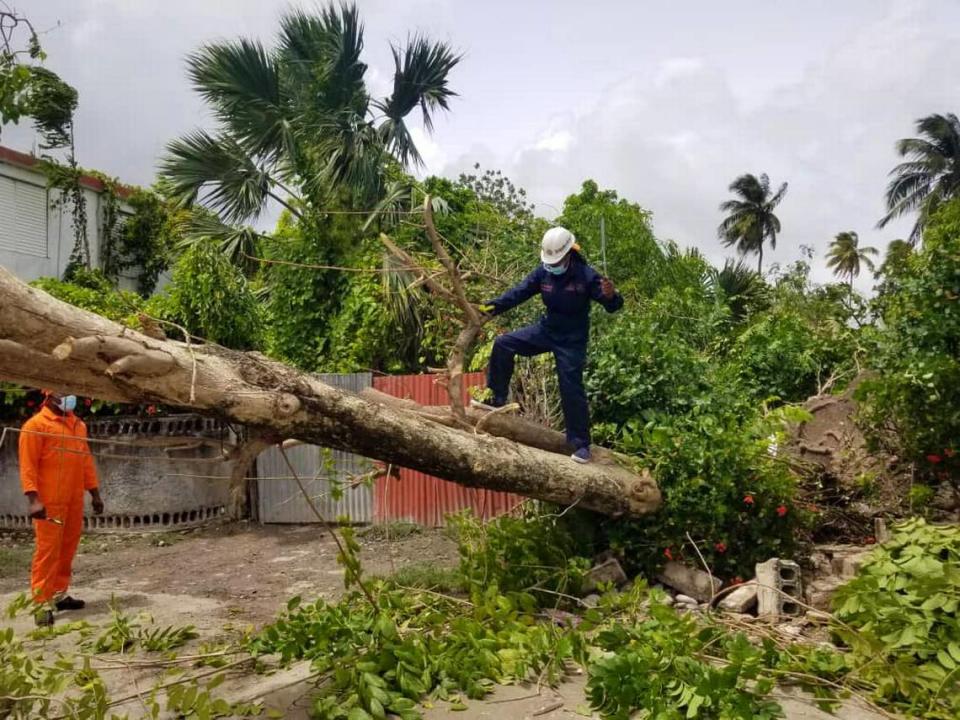 In the aftermath of Tropical Storm Elsa, workers with the Office of Civil Protection intervened in the southwestern city of Les Cayes Sunday to clear streets of fallen trees and restore traffic.