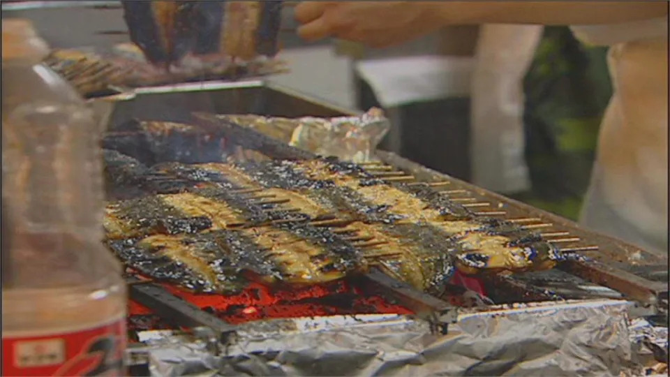 跨海來台賣饅魚！ 老字號鰻魚飯名店飄香50年