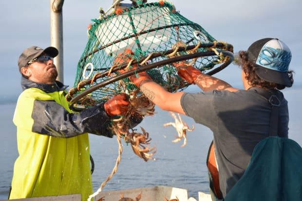 Listuguj First Nation fisher Chris Wilmot, left, fishes for rock crab. The Mi'kmaw community has reached an agreement with Ottawa to collaborate on fishing regulations. (Rezolution Pictures/Lisa M. Roth - image credit)