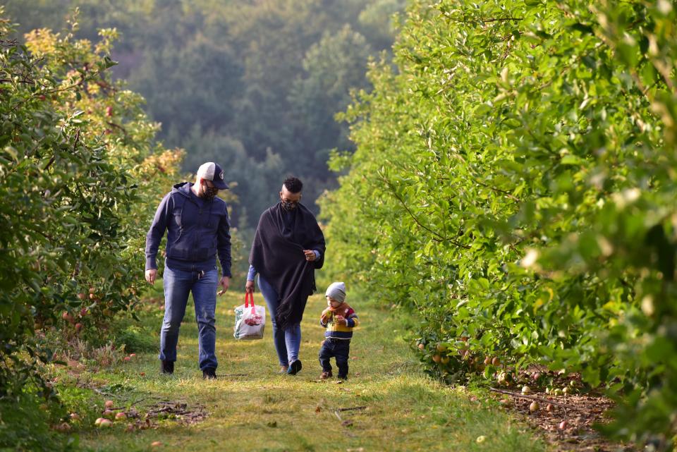 From left, Alex and Ilhwa Compton , of Bloomfield, with their 16 month old son Kanon go apple picking at Demarest Farms in Hillsdale, N.J. on Friday Sept. 25, 2020.