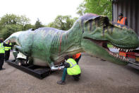 A life size animatronic Tyrannosaurus Rex dinosaur arrives at Bristol Zoo Gardens on May 14, 2012 in Bristol, England. Twelve animatronic dinosaurs arrived at Bristol Zoo Gardens this morning after being transported in crates from Texas, USA. They will form part of the zoo's summer exhibition 'DinoZoo' which opens later this month. (Photo by Matt Cardy/Getty Images)