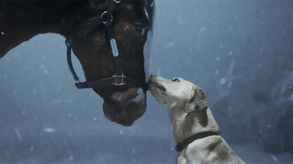 This photo provided by Anheuser-Busch shows the Budweiser 2024 Super Bowl NFL football spot. The perennial Super Bowl advertiser is bringing back fan favorites the Clydesdales and a Labrador, in a nod to previous commercials that aired during advertising's biggest night. Ahead of Super Bowl 58, some advertisers are releasing ads early in the hope of capitalizing on the buzz leading up to the game. (Anheuser-Busch via AP)