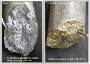 Drill core at 1198.00m and 1270.01 Depth