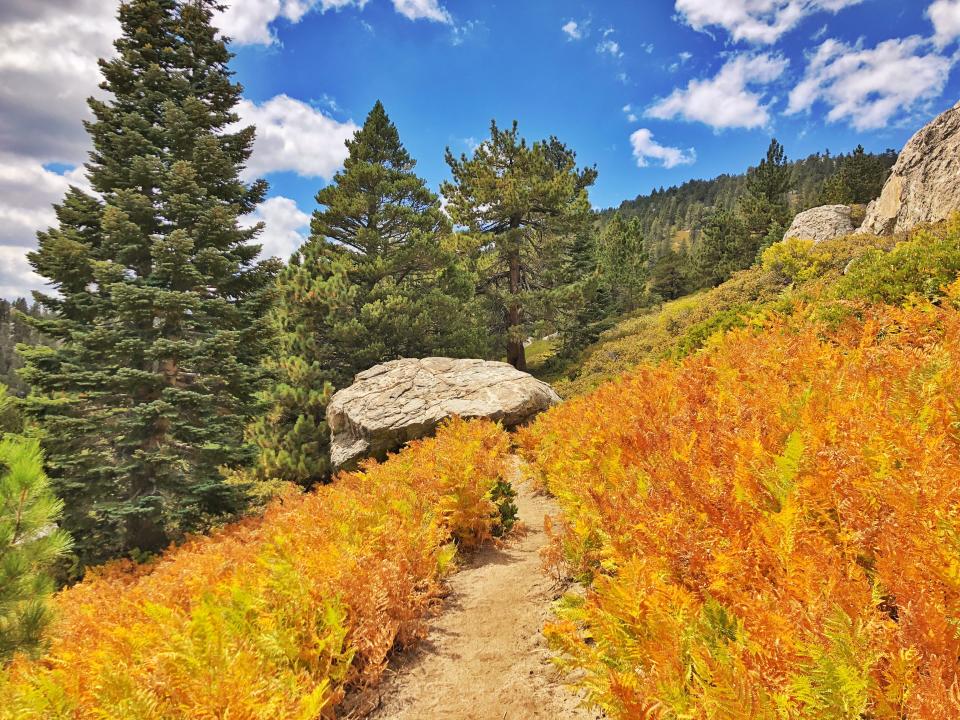 San Jacinto Mountains, California