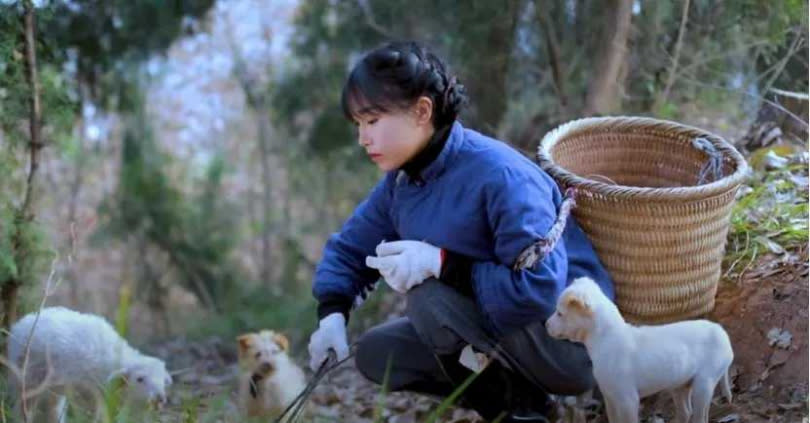 李子柒的影片中帶有濃厚的農村風味。（圖／翻攝自微博）