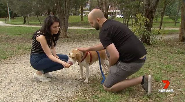 Nula was riddled with worms and fleas when she arrived home with Avishan and Ryan. Source: 7 News