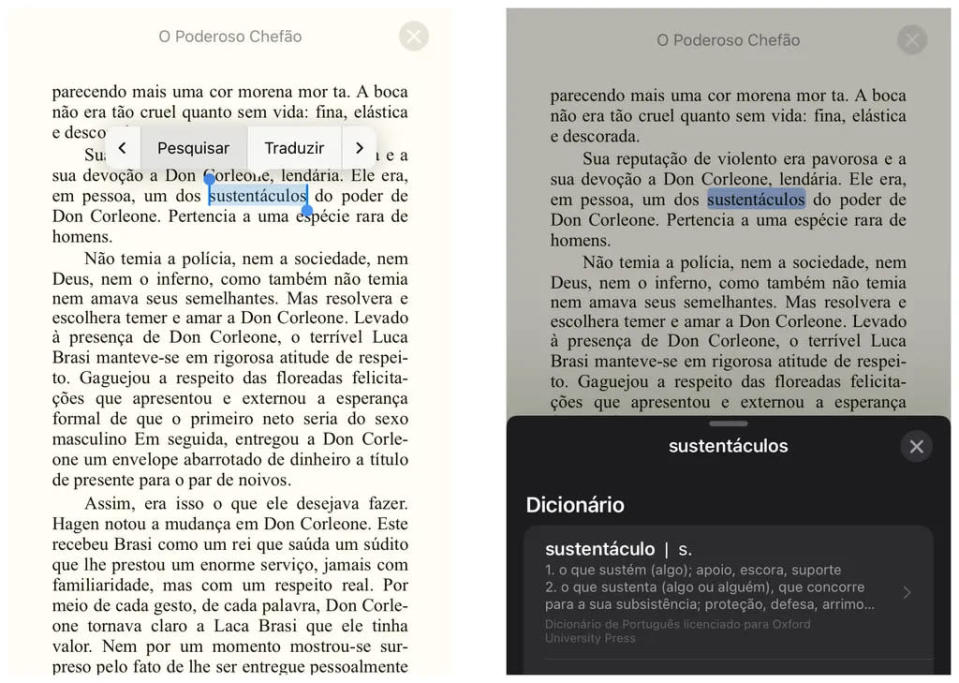 Consulte o significado de palavras no app Livros (Captura de tela: Thiago Furquim/Canaltech)