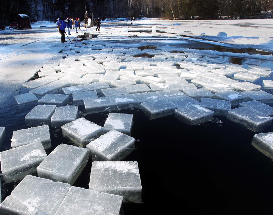 Blocks of ice float in Squaw Cove Thursday Jan. 9, 2014 in Sandwich, N.H. ready to be harvested and put into the ice house at Rockywold-Deephaven Camp. For more than a century ice has been taken from Squam Lake and put in an ice house to be used by summer residents at the camp. More than 3,500 blocks of ice will be stored and stay frozen till summer. (AP Photo/Jim Cole)
