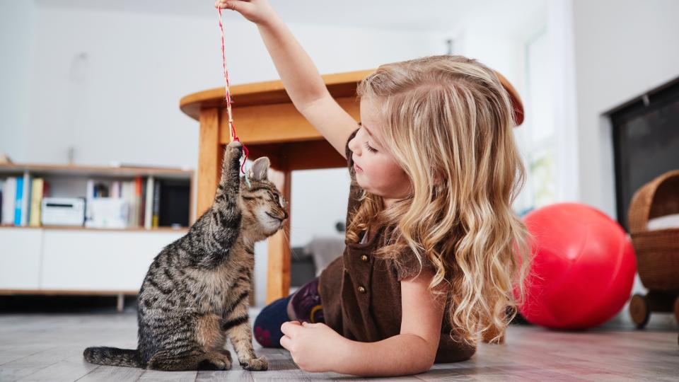 Young girl lying on the floor holding string and playing with cat