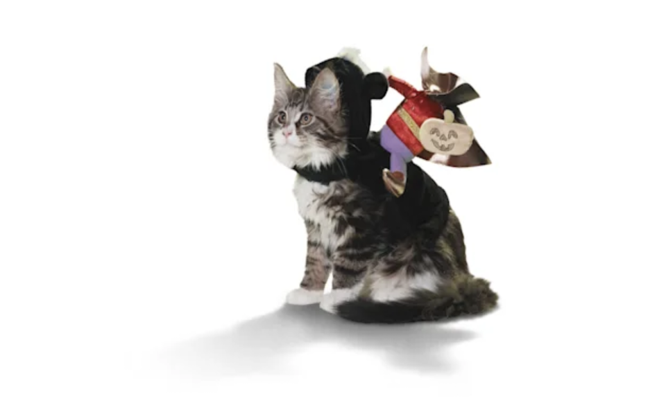 Bootique Headless Horseman Illusion Costume for Cats