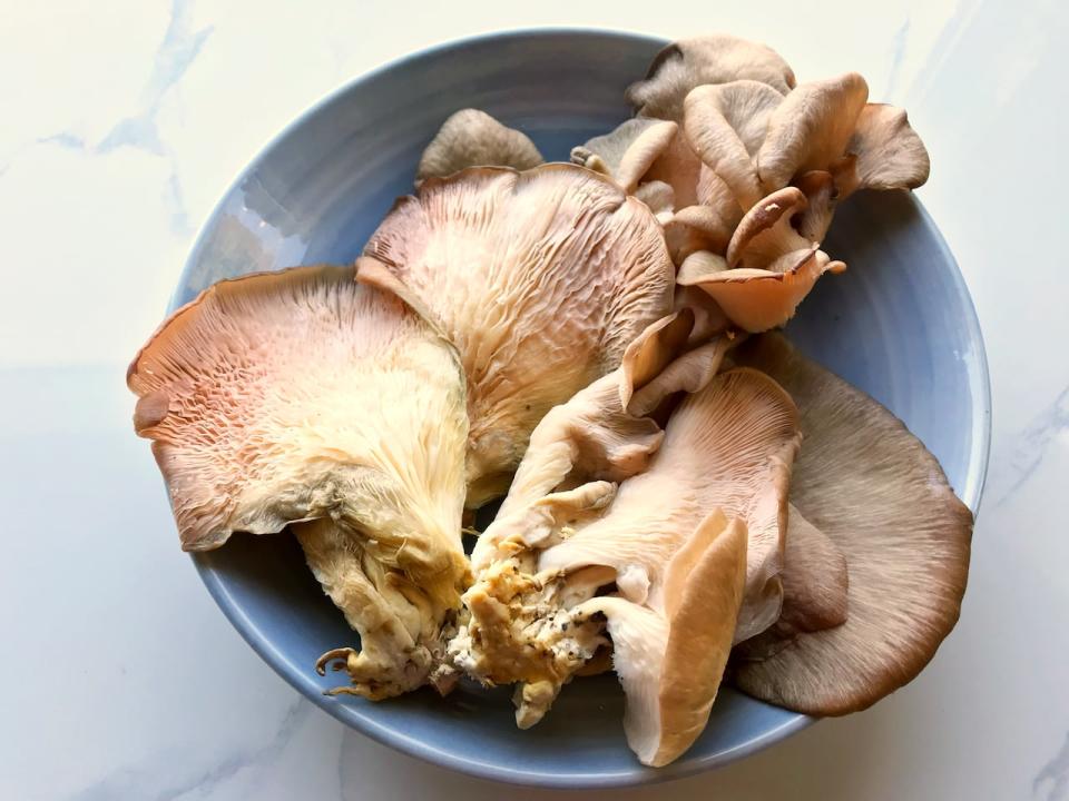 These fresh pink oyster mushrooms were purchased from The Mushroom Tree in Waterloo through Too Good To Go. They came in a $12 surprise bag that was listed for $5.99 on the app.