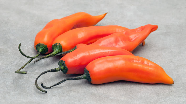 ripe aji amarillo peppers