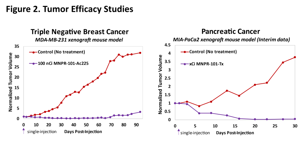 Tumor Efficacy Studies