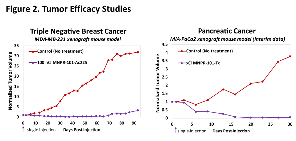 Tumor efficacy research