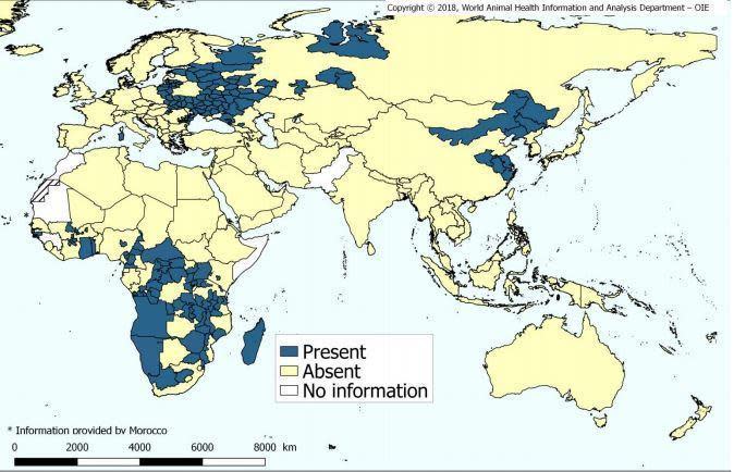 圖為2016至2018年10月統計，藍色地區為非洲豬瘟疫區。（翻攝自世界動物衛生組織）