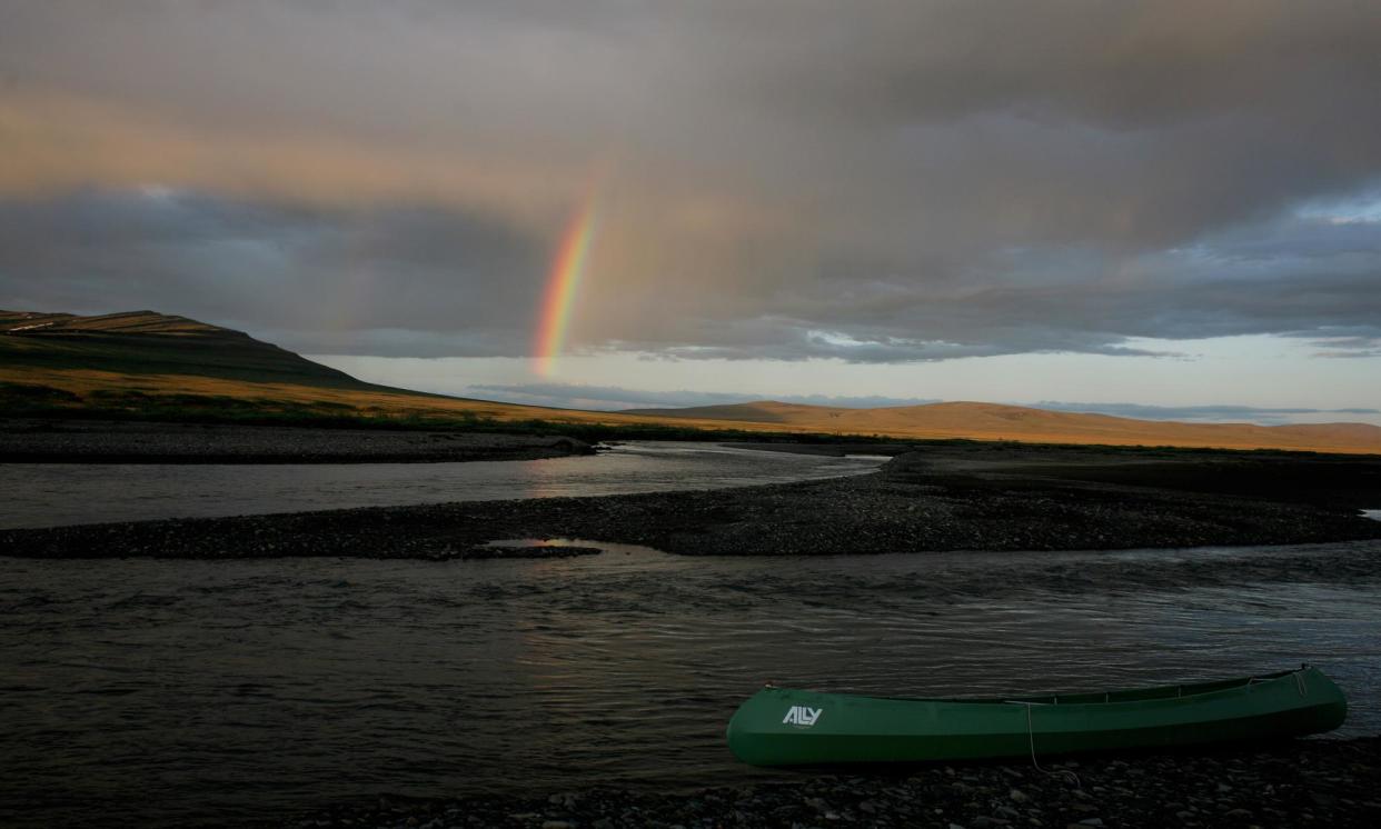 <span>The new restrictions will be imposed to protect wildlife as the Arctic continues to warm due to the climate crisis.</span><span>Photograph: Andrew Lichtenstein/Corbis/Getty Images</span>