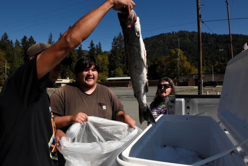 California, Hoopa Valley Tribe try to save salmon and a way of life