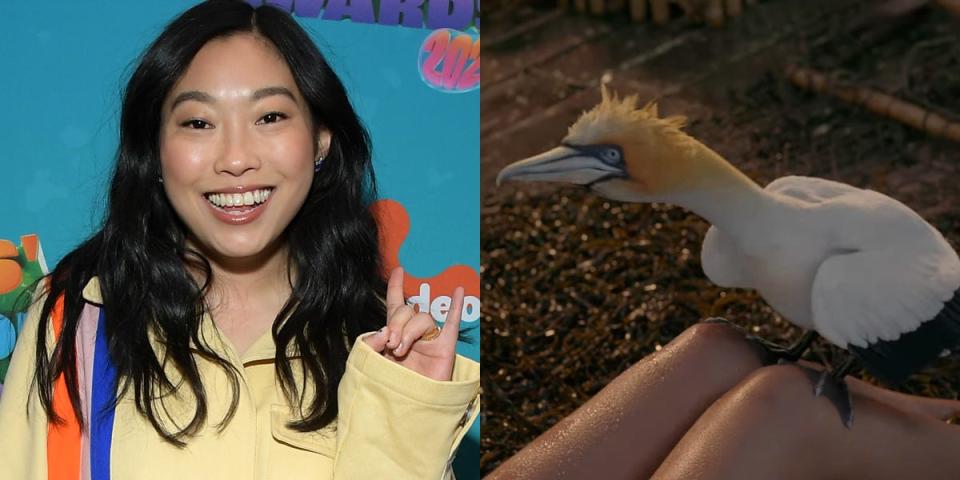 On the left: Awkwafina in March 2023. On the right: Scuttle in the 2023 live-action "Little Mermaid" film.