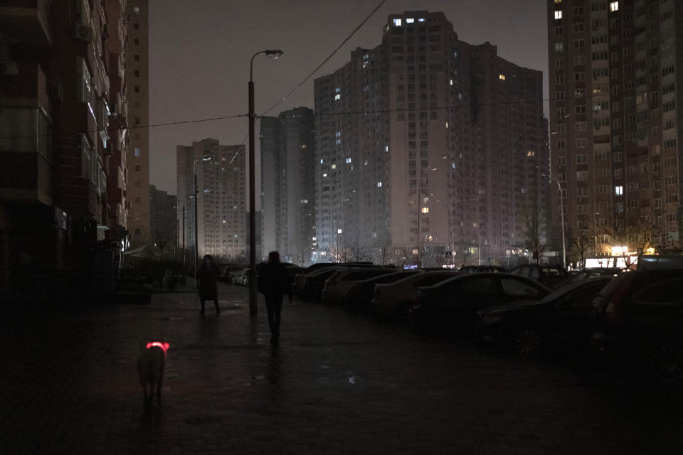 FILE - A dog with a lit up collar walks in a street during a blackout in Kyiv, Ukraine, Wednesday, Nov. 16, 2022. The situation in Ukraine's capital, Kyiv, and other major cities has deteriorated drastically following the largest missile attack on the country's power grid on Tuesday, Nov. 15, 2022. Ukrainian state-owned grid operator Ukrenergo reported that 40% of Ukrainians were experiencing difficulties, due to damage to at least 15 major energy hubs across the country. (AP Photo/Andrew Kravchenko, File)