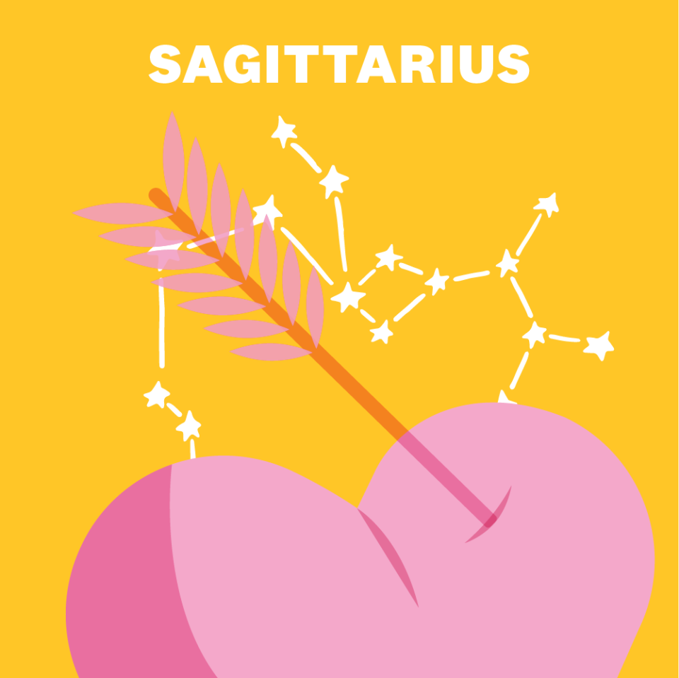 9) SAGITTARIUS (NOVEMBER 22–DECEMBER 21)