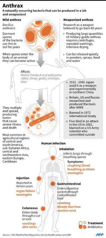 Factfile on the deadly toxin anthrax