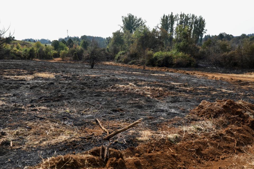 Land between Mildred Lane SE and Jory Hill Road S that burned in the Liberty Fire.