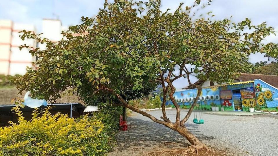 Imagen de la fachada de la guardería Cantinho Bom Pastor.