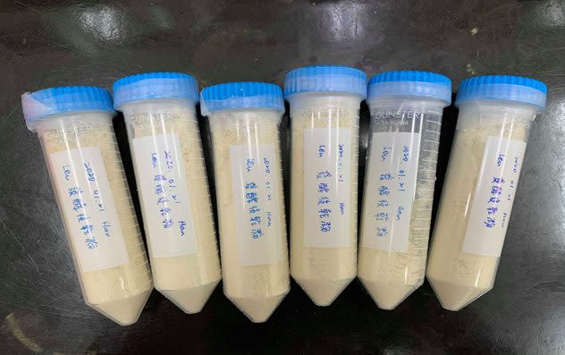 TBE-8是乳酸菌Leuconostoc mesenteroides菌種，國際研究發現只有健康蜂群腸道中才有此菌。（圖片提供／吳明城）