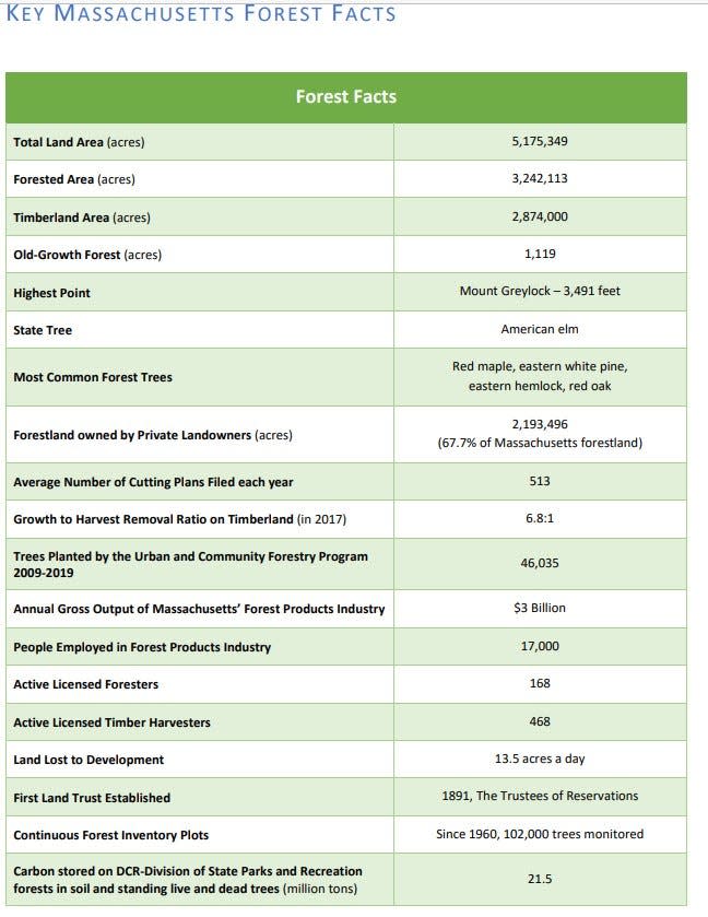 The state of Massachusetts forests