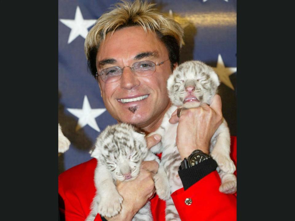 Roy Horn, of Siegfried and Roy magic act, holds royal white tiger cubs, photo on black