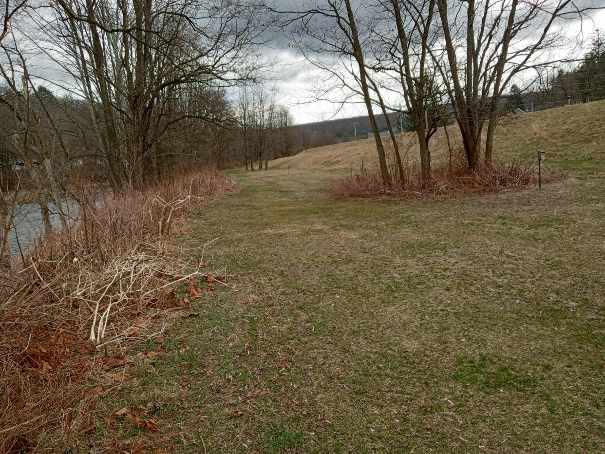 This is a view of the Riverside Park floodplain in Hawley, alongside the Lackawaxen River. The earthen flood protection levee is at right. The developer for the apartment building project approved in January suggested this location for the approximately 920 trees the state requires them to plant to make up for removing trees on their parcel to keep the construction away from a protected waterway channel. Borough council is not convinced this is the right location.