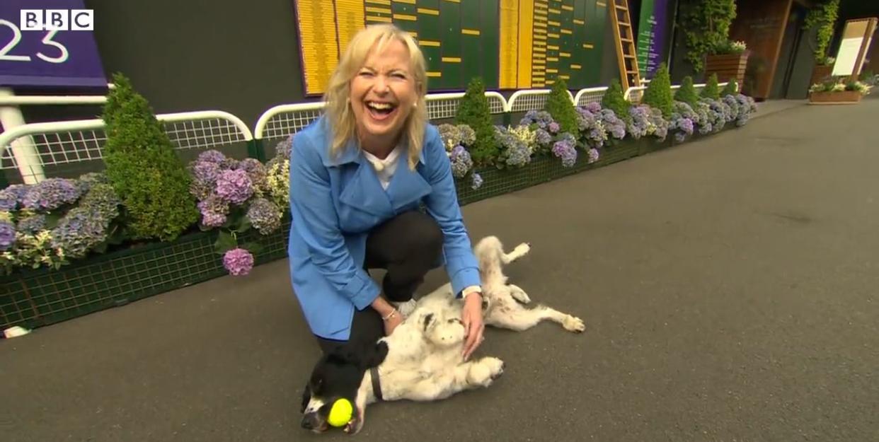 bbc breakfast’s carol kirkwood dragged to floor by dog in live tv blunder