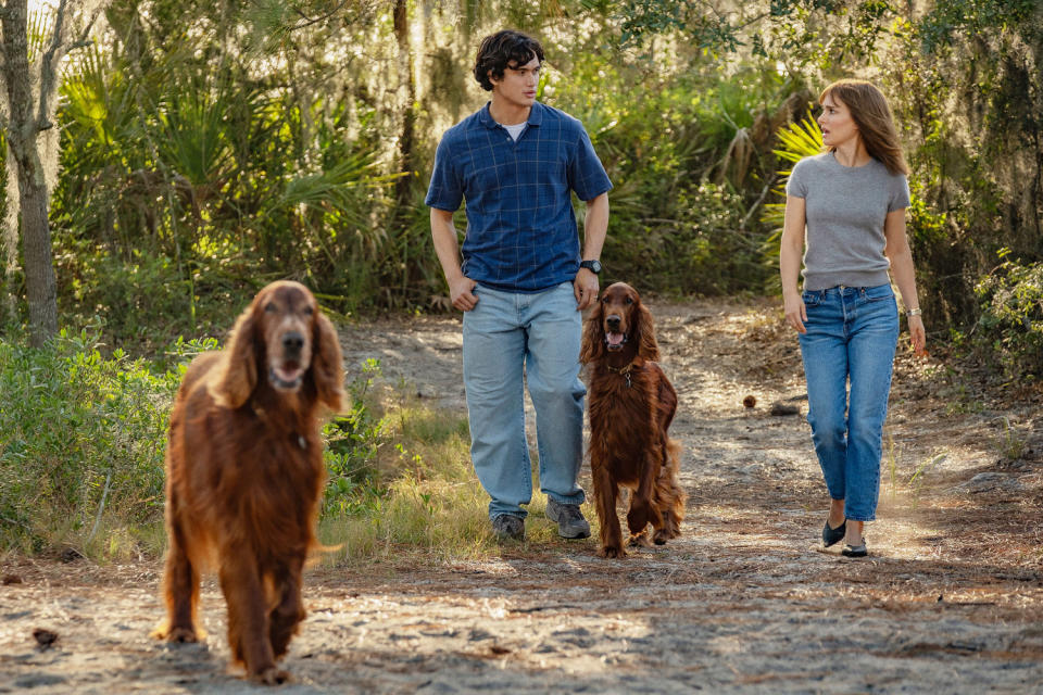 Charles Melton as Joe and Natalie Portman as Elizabeth Berry walking with dogs.  (François Duhamel  / Netflix)