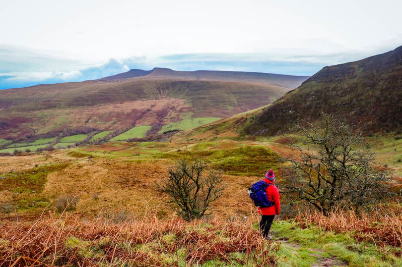 -Credit:Nia Lloyd Knott, Wild Trails Wales