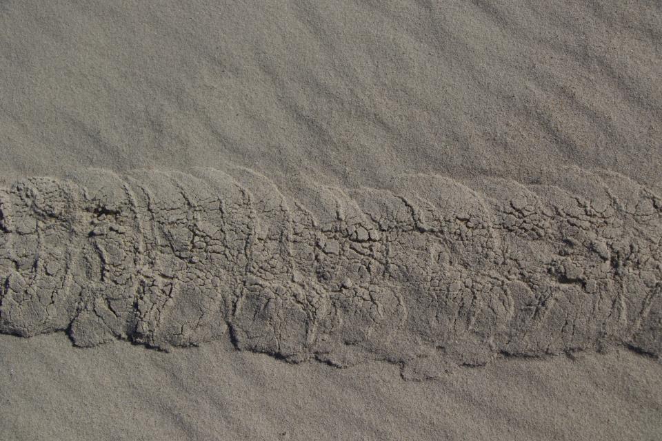 A photo of the sand disturbed by golden moles in South Africa.