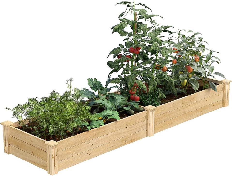 Greenes raised garden bed kit made of wood, filled with tomatoes and other vegetable plants.