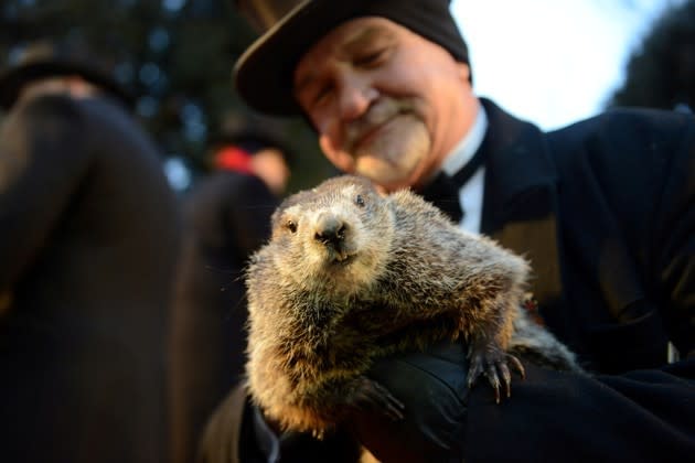 Co-handler John Griffiths holds Punxsutawney Phil for the crowd gathered at Gobbler's Knob on the 132nd Groundhog Day in Punxsutawney, Pennsylvania. Alan Freed / Reuters