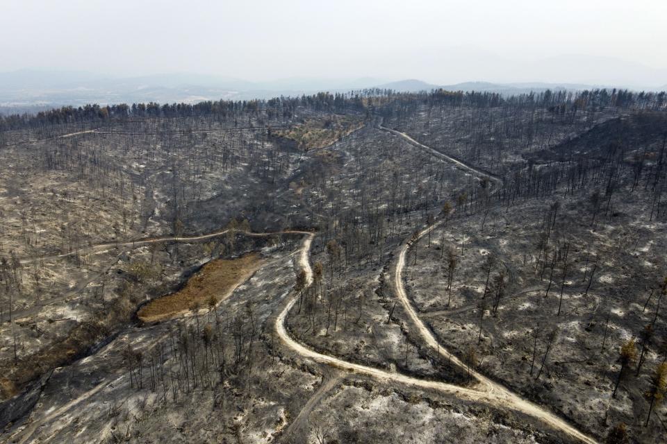 A burnt forest in Agia Anna village on Evia island, about 181 kilometers (113 miles) north of Athens, Greece, Wednesday, Aug. 11, 2021. Hundreds of firefighters from across Europe and the Middle East worked alongside Greek colleagues in rugged terrain Wednesday to contain flareups of the huge wildfires that ravaged Greece's forests for a week, destroying homes and forcing evacuations. (AP Photo/Michael Varaklas)