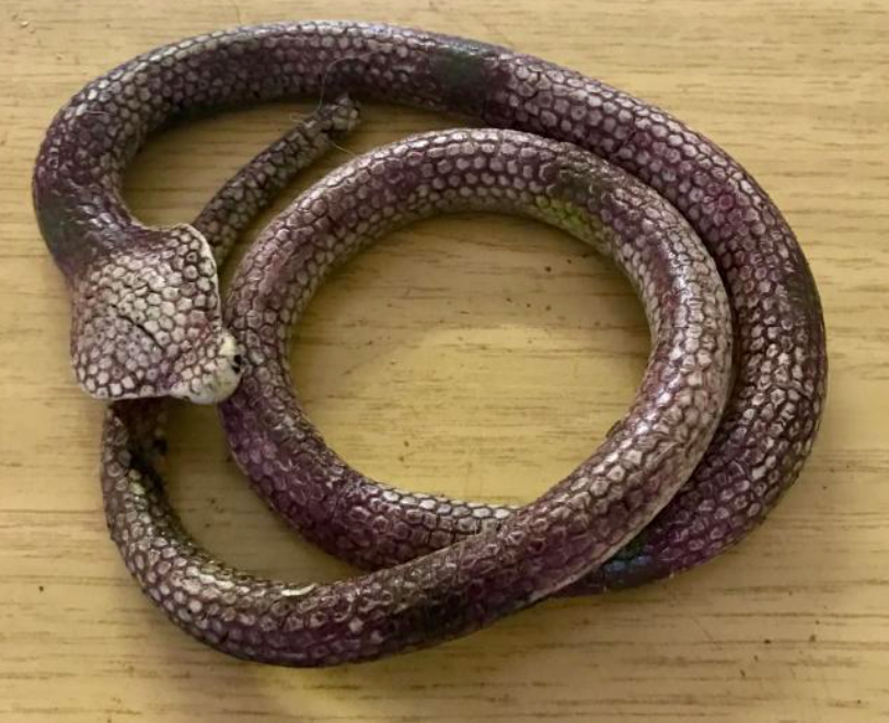 The rubber toy was at first thought to be a venomous snake (RSPCA)