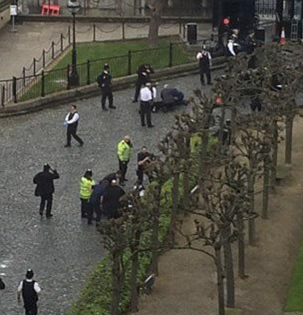 Two people injured outside Parliament