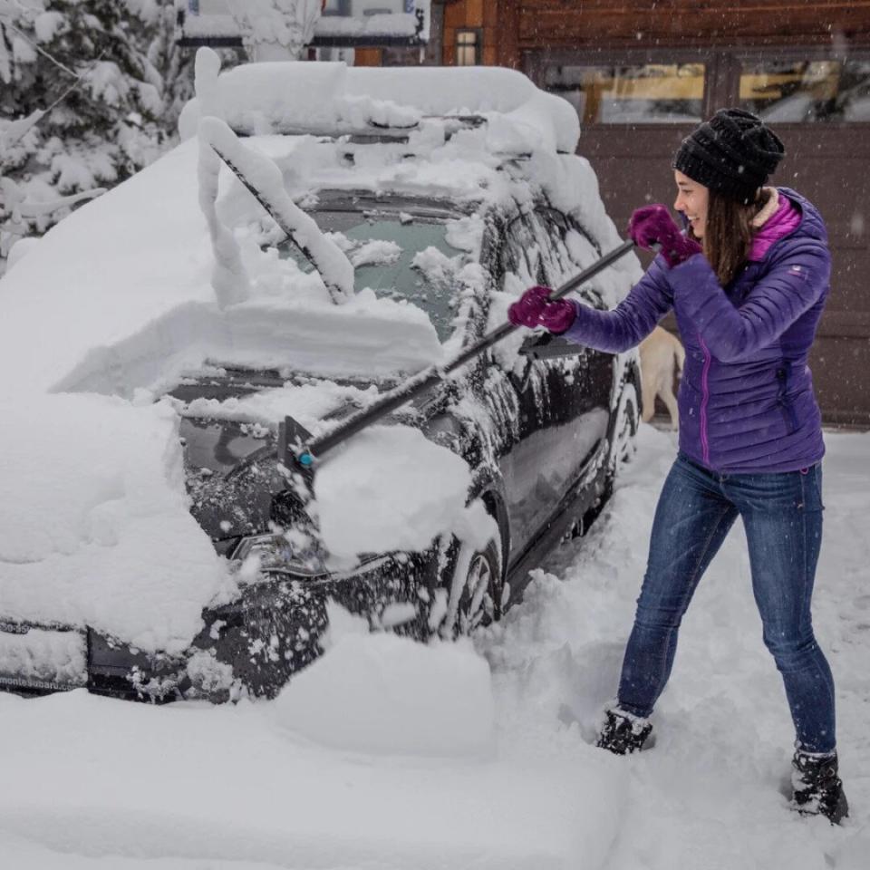 snoshark ice scraper and snow remover