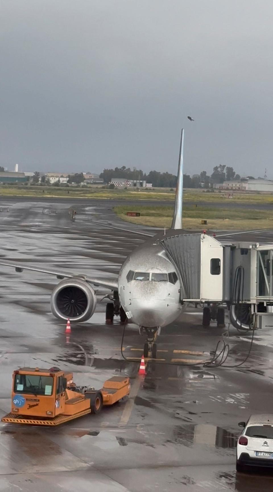 A plane covered with volcanic ash, following Mount Etna eruption, is seen at Catania international airport (via REUTERS)