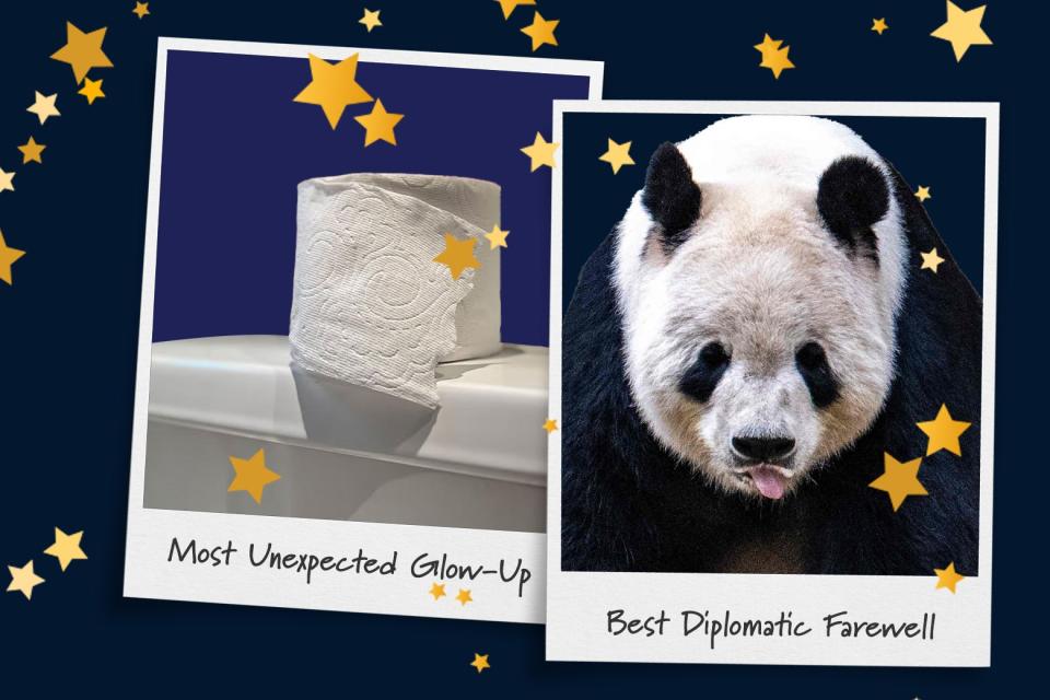 A Polaroid of a Charmin toilet paper roll, captioned "Most Unexpected Glow-Up," along with a Polaroid of a panda from the National Zoo, captioned "Most Diplomatic Farewell."