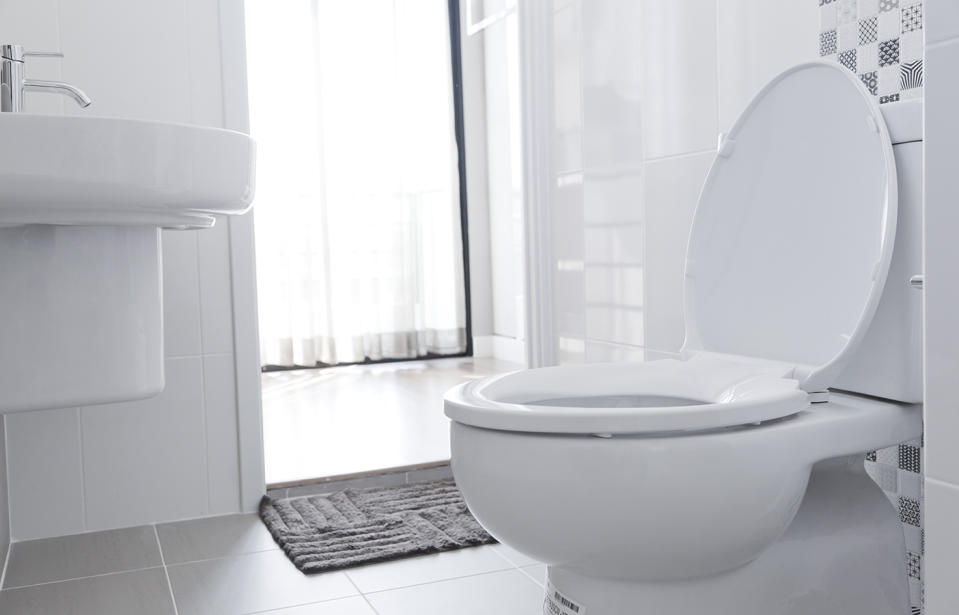 Flushing with the seat up is not just inconvenient, it’s downright unsanitary. Source: Getty, file