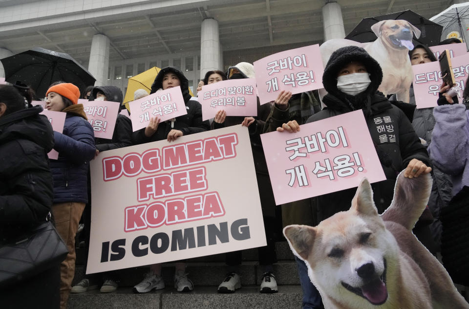 Animal rights activists attend a protest rally supporting the government-led dog meat banning bill at the National Assembly in Seoul, South Korea, Tuesday, Jan. 9, 2024. South Korea's parliament on Tuesday passed a landmark ban on production and sales of dog meat, as public calls for a prohibition have grown sharply over concerns about animal rights and the country's international image. (AP Photo/Ahn Young-joon)